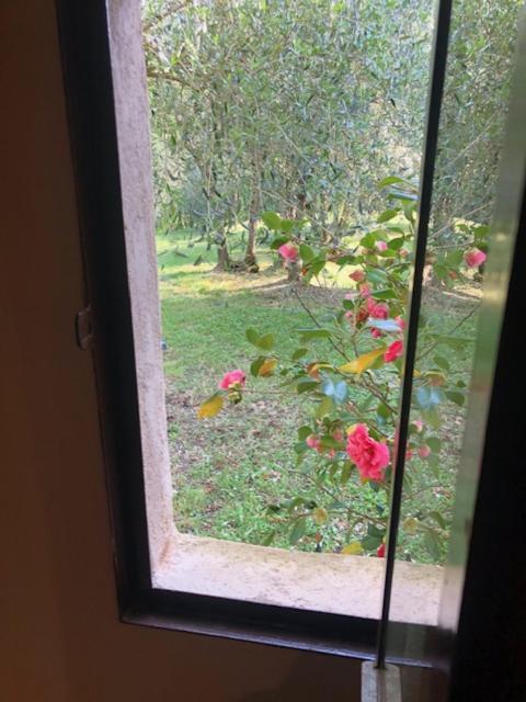 Agriturismo La Pieve Colle Val D'Elsa Dış mekan fotoğraf
