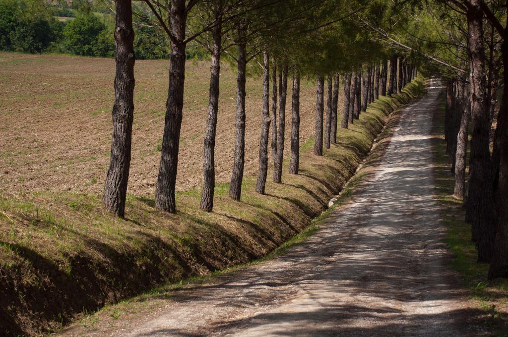 Agriturismo La Pieve Colle Val D'Elsa Dış mekan fotoğraf
