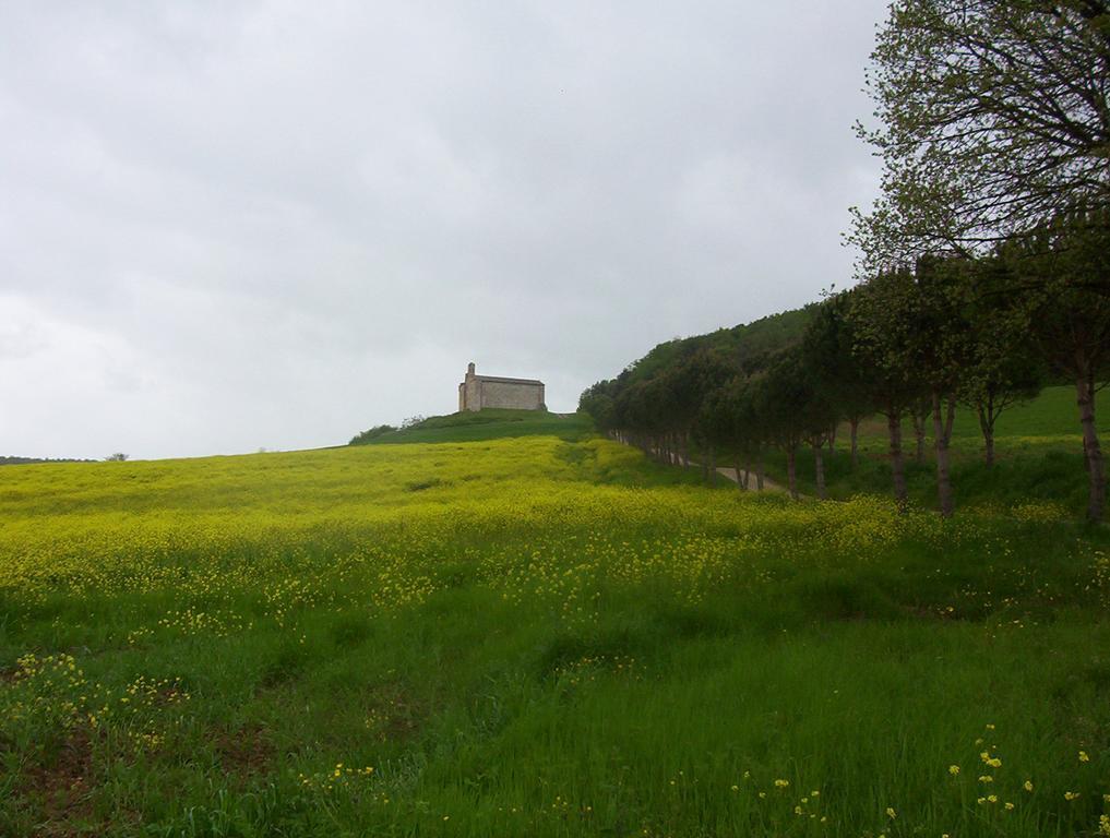 Agriturismo La Pieve Colle Val D'Elsa Dış mekan fotoğraf