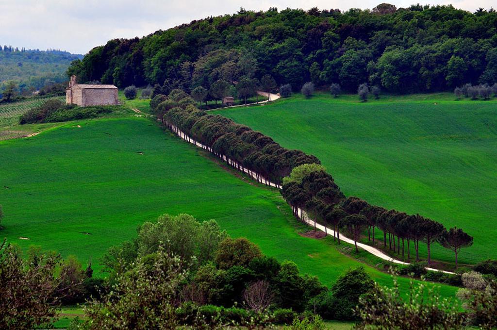 Agriturismo La Pieve Colle Val D'Elsa Dış mekan fotoğraf