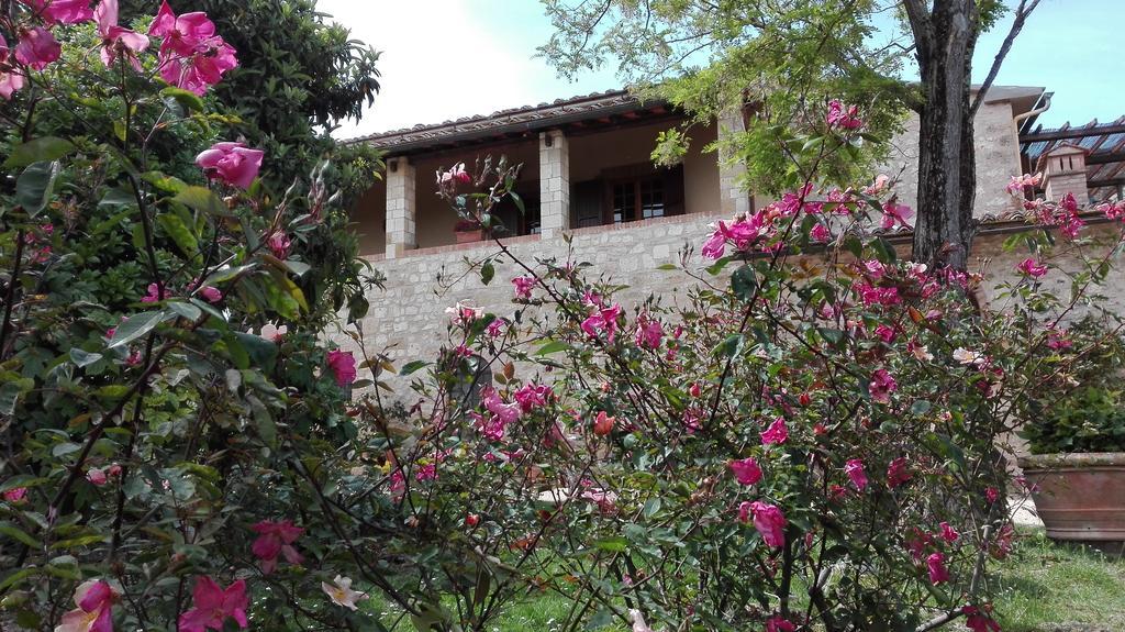 Agriturismo La Pieve Colle Val D'Elsa Dış mekan fotoğraf