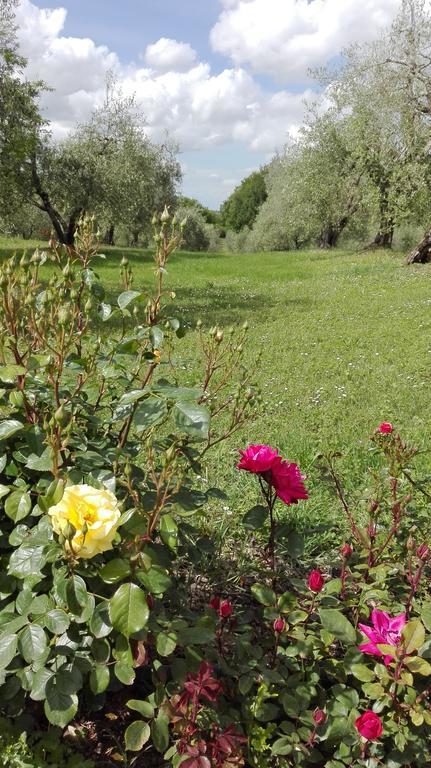 Agriturismo La Pieve Colle Val D'Elsa Dış mekan fotoğraf