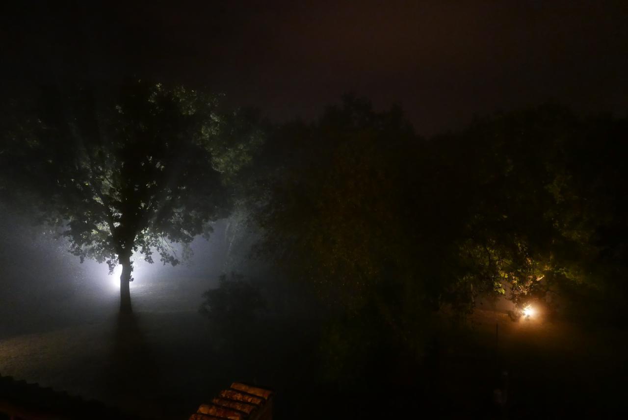Agriturismo La Pieve Colle Val D'Elsa Dış mekan fotoğraf
